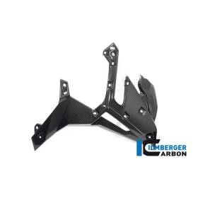 Cache radiateur côté droit BMW S1000R (21-) - Ilmberger Carbon