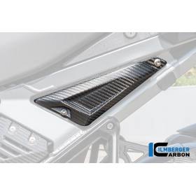 Cache triangle arrière BMW R1300GS Adv - Ilmberger Carbon
