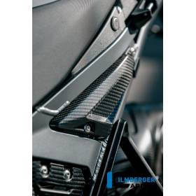Cache triangle arrière BMW R1300GS Adv - Ilmberger Carbon