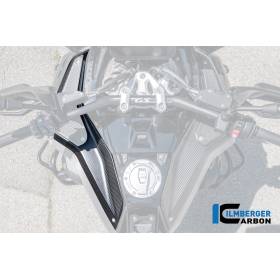 Liens Oberer Tankdeckel Carbone mat BMW R1300GS Adv - Ilmberger Carbon
