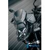 Pare-brise gauche mat BMW R1300GS Adv - Ilmberger Carbon