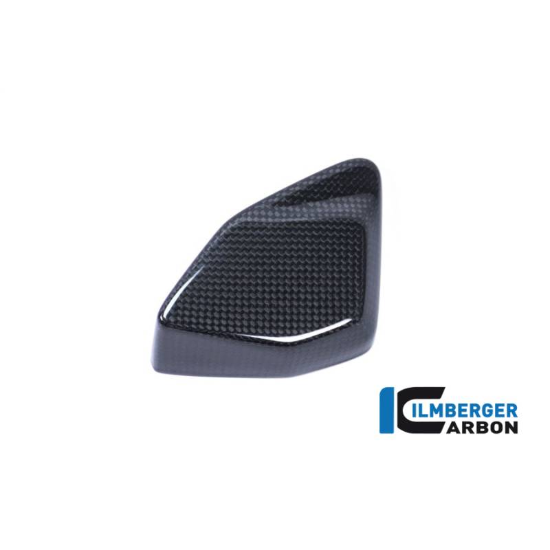 Cache-boîte ESA BMW R 1200 GS (R 1200 GS (LC) ab 2017) - Ilmberger Carbon Cache-boîte ESA BMW R 1200 GS (R 1200 GS (LC) ab 2017) - Ilmberger Carbon