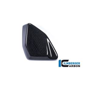Cache-boîte ESA BMW R 1200 GS (R 1200 GS (LC) ab 2017) - Ilmberger Carbon