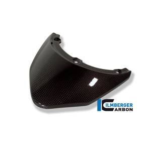 Cache feu arrière (supérieur) - BMW R 1200 R (R 1200 R (2007-2010) - Ilmberger Carbon