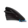 Garde-boue avant - BMW R 1150 R (R 1150 R (2000-2005) - Ilmberger Carbon