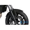 Garde-boue avant – BMW F 800 R / F800GTIlmberger Carbon