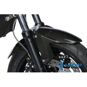 Garde-boue avant – BMW F 800 R / F800GTIlmberger Carbon