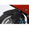 Garde-boue avant – BMW F 800 R / F800GTIlmberger Carbon