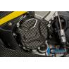 Cache d'alternateur – BMW S 1000 RRIlmberger Carbon