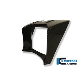 Cache radiateur d'huile - BMW R 1200 R (2011-2014) (R 1200 R (2011-2014) - Ilmberger Carbon