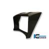 Cache radiateur d'huile - BMW R 1200 R (2011-2014) (R 1200 R (2011-2014) - Ilmberger Carbon