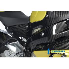 Caches de cadre (jeu - gauche et droit) Carbone - BMW S 1000 RR (S 1000 RR Strasse (2009-2011) - Ilmberger Carbon