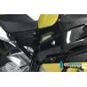 Caches de cadre (jeu - gauche et droit) Carbone - BMW S 1000 RR (S 1000 RR Strasse (2009-2011) - Ilmberger Carbon