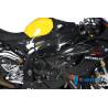 Caches de cadre (jeu - gauche et droit) Carbone - BMW S 1000 RR (S 1000 RR Strasse (2009-2011) - Ilmberger Carbon