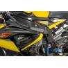 Cache de cadre gauche - BMW S 1000 RRIlmberger Carbon