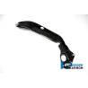 Cache de cadre gauche - BMW S 1000 RRIlmberger Carbon