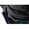 Cache-cadre (droit) - BMW S 1000 RRIlmberger Carbon
