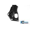 Cache cadre droit – BMW S 1000 RRIlmberger Carbon