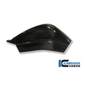 Caches de bras oscillants (gauche et droit) BMW S 1000 RRIlmberger Carbon