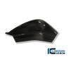Caches de bras oscillants (gauche et droit) BMW S 1000 RRIlmberger Carbon