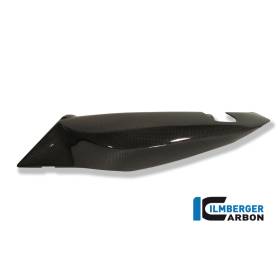 Panneau latéral gauche sous la selle - BMW F 800 R / S / ST - Ilmberger Carbon
