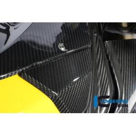 Panneau latéral de réservoir (gauche) – BMW S 1000 RRIlmberger Carbon