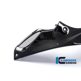 Panneau latéral de réservoir Racing (côté gauche) BMW S1000RRIlmberger Carbon