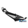 Panneau latéral de réservoir Racing (côté gauche) BMW S1000RRIlmberger Carbon