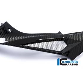 Panneau latéral de réservoir Racing (côté gauche) BMW S1000RRIlmberger Carbon