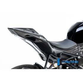 Selle Racing BMW M 1000 RR / S 1000 RR - Ilmberger Carbon