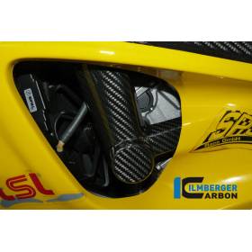 Tampon de protection cadre (gauche) BMW S1000RR / S1000R / HP4Ilmberger Carbon