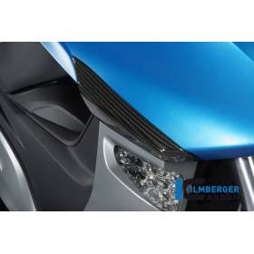 Protection de protection avant – BMW C 600 Sport (2012-aujourd'hui) (C 600 Sport (ab 2012) - Ilmberger Carbon