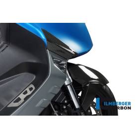 Protection de protection avant – BMW C 600 Sport (2012-aujourd'hui) (C 600 Sport (ab 2012) - Ilmberger Carbon