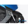 Protection de protection avant – BMW C 600 Sport (2012-aujourd'hui) (C 600 Sport (ab 2012) - Ilmberger Carbon