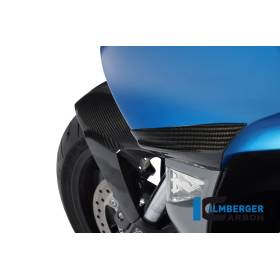 Protection de protection avant – BMW C 600 Sport (2012-aujourd'hui) (C 600 Sport (ab 2012) - Ilmberger Carbon