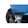 Protection de protection avant – BMW C 600 Sport (2012-aujourd'hui) (C 600 Sport (ab 2012) - Ilmberger Carbon