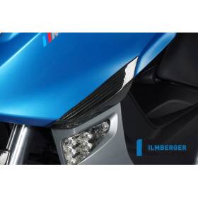 Protection de protection avant – BMW C 600 Sport (2012-aujourd'hui) (C 600 Sport (ab 2012) - Ilmberger Carbon