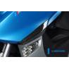 Protection de protection avant – BMW C 600 Sport (2012-aujourd'hui) (C 600 Sport (ab 2012) - Ilmberger Carbon