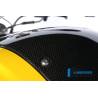 Panneau central du réservoir - BMW F 800 R / S / ST / GTIlmberger Carbon