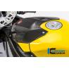 Cache-réservoir supérieur Racing Carbone - BMW S 1000 RR (15-18)Ilmberger Carbon