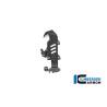Support de ventilation de réservoir BMW R nine T Racer '17 (R nineT (2017), R nineT Racer (ab 2017) - Ilmberger Carbon