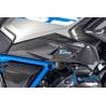 Cache d'aération côté droit BMW R 1200 GS´17 (R 1200 GS (LC) ab 2017) - Ilmberger Carbon