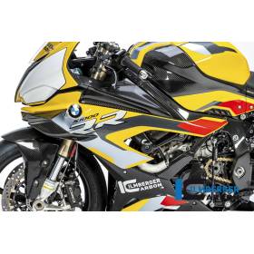 CARÉNAGE LATÉRAL (GAUCHE) - BMW M 1000 RR Racing (M 1000 RR Racing (2021-2022) - Ilmberger Carbon