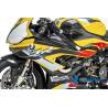 CARÉNAGE LATÉRAL (GAUCHE) - BMW M 1000 RR Racing (M 1000 RR Racing (2021-2022) - Ilmberger Carbon
