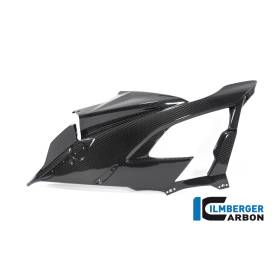 CARÉNAGE LATÉRAL (GAUCHE) - BMW M 1000 RR Racing (M 1000 RR Racing (2021-2022) - Ilmberger Carbon