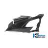 CARÉNAGE LATÉRAL (GAUCHE) - BMW M 1000 RR Racing (M 1000 RR Racing (2021-2022) - Ilmberger Carbon