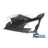 CARÉNAGE LATÉRAL (GAUCHE) - BMW M 1000 RR Racing (M 1000 RR Racing (2021-2022) - Ilmberger Carbon