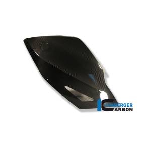 Panneau latéral gauche BMW K 1300 S (K 1300 S (ab 2008) - Ilmberger Carbon