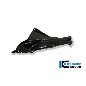 Support de plaque gauche BMW S1000RR / HP4Ilmberger Carbon