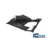 Panneau latéral de carénage Racing gauche BMW S 1000 RR (19-22)Ilmberger Carbon
